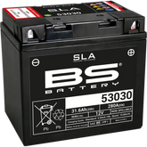BS BATTERY Battery - 53030 300880